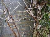 image of grave number 816561